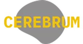 Cerebrum (Церебрум) на Шпалерной